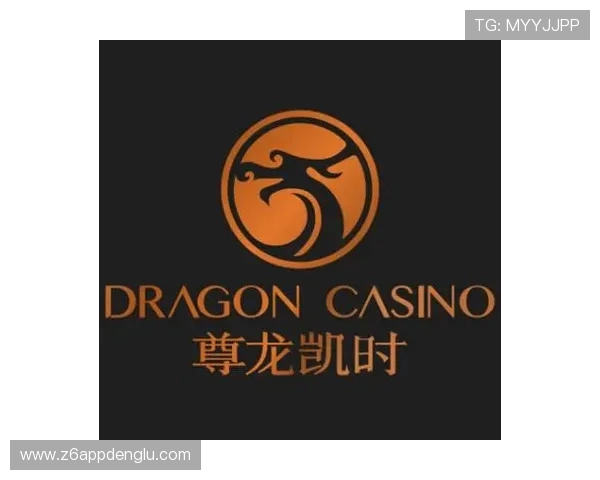 凯时尊龙人生就是博的用户界面设计与操作便捷性评价