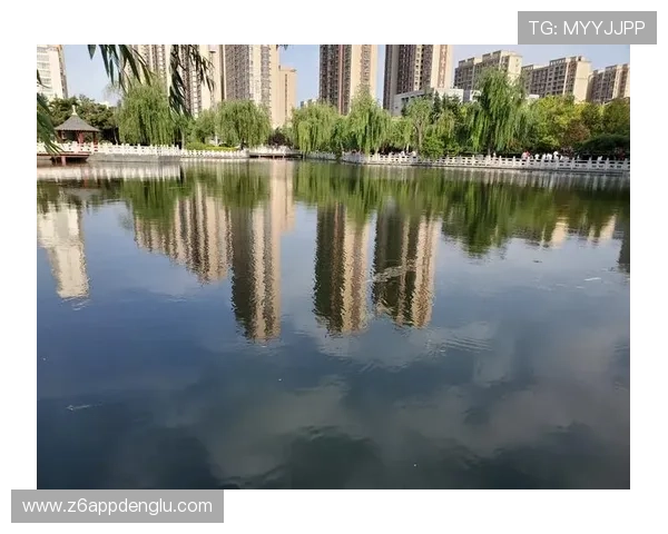 凯时网投用户体验优化措施提升平台操作便捷性和用户满意度